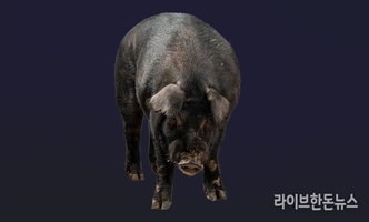 올해 ‘우리흑돈’ 두 차례 보급…24일까지 수요조사