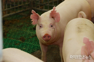 “방역관리 수준 평가체계 농가 과잉규제로 작용”
