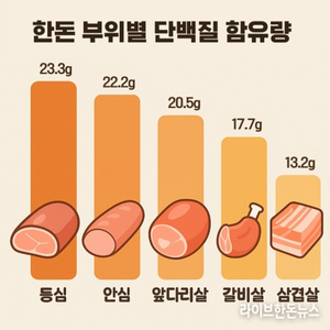 한돈, 단백질 함유량·영양적 밸런스 모두 갖춘 식품