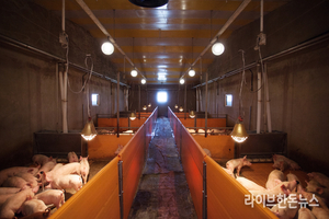 가축분뇨 처리시설 암모니아 규제 ‘90ppm으로 완화’