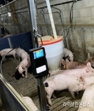경기, AI가 돼지 키운다…출하 빨라지고 소득 증가