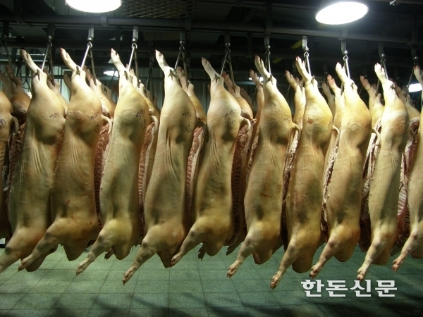 코로나19 사태로 인해 돼지고기의 가정 내 소비가 지난해보다 큰 폭으로 늘었다.