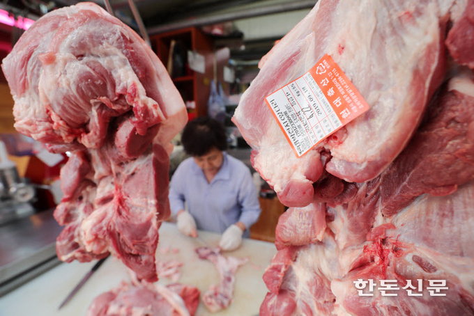 한국농촌경제연구원(KREI)은 육류산업의 경쟁력을 높이기 위해서는 세대간 육류소비 격차를 완화하고 육류 생산의 다양성을 확보해야 한다고 주장했다.