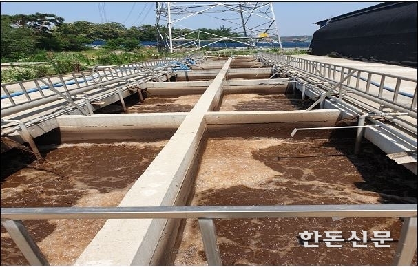 평택시는 관내 환경기초시설 운영기관인 폐수종말처리장 등의 수처리 전문기술자와 합동으로 기술지원반을 편성해 지난 12일부터 약 3주간에 걸쳐 양돈농장을 대상으로 폐수처리장(정화방류시설)운영에 대한 기술지원을 추진하고 있다.