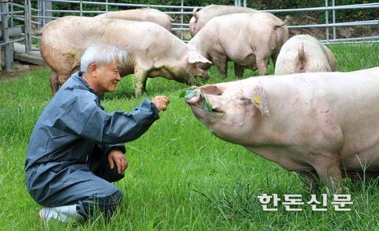 경기도는 ‘가축행복농장 인증제’에 참여할 농가를 모집한다.