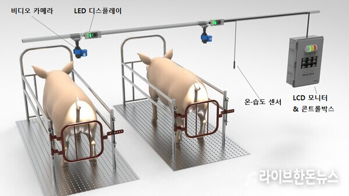 양돈 인공지능 분만사 관리시스템 모식도. (경남도 제공)