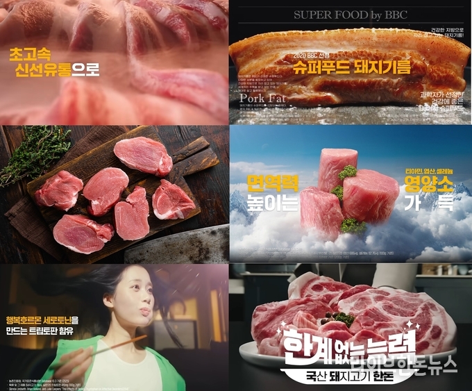 한돈자조금은 ‘한계 없는 능력, 국돼 한돈’ 캠페인을 통해 한돈이 지닌 우수한 영양학적 가치와 건강 기능을 구체적으로 전달하고 있다. 특히 전 국민이 한돈을 친근하게 체감할 수 있도록 소비자 접점에서 다양한 마케팅 활동을 펼치고 있다.