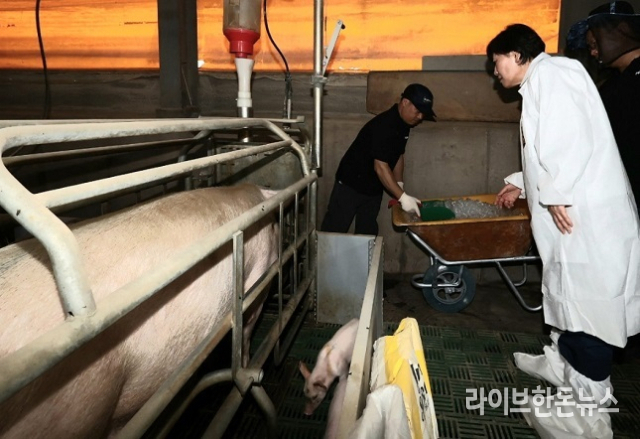정부가 폭염으로 인한 축산농가 피해를 막기 위해 전국 지방자치단체의 현장 대응 상황을 직접 점검하고 나섰다.